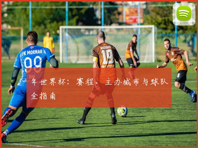 年世界杯：赛程、主办城市与球队全指南